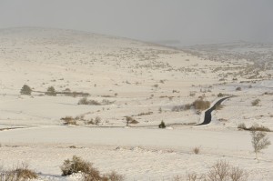 Causse Méjean vers Nîmes-le-Vieux