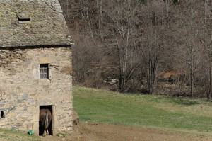 Saint-Léger-de-Peyre