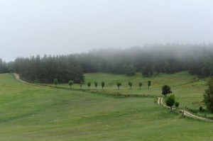 Entre St Sauveur de Peyre et Rimeize (Paysage brouillard)