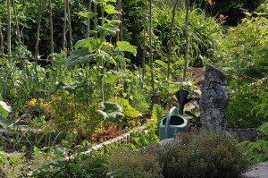 Badaroux ( Jardin avec arrosoir)