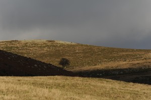 Paysage à La Brousse