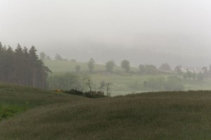 Paysage entre St Sauveur de Peyre et Ribennes