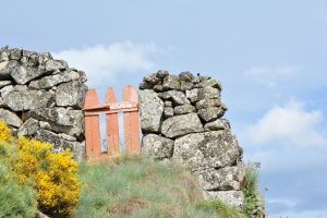 Mont Lozère