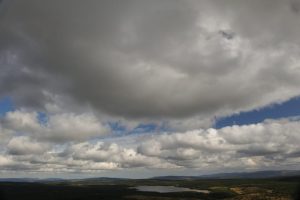 Fortunio