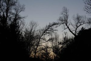 Badaroux, vallon de la Tourette