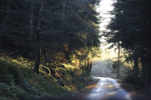 La Baume/Usanges
